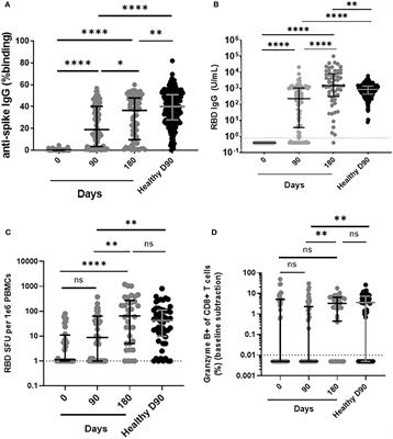 Third dose of BNT162b2 improves immune response in liver transplant recipients to ancestral strain but not Omicron BA.1 and XBB